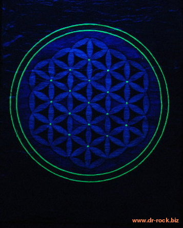 flower of life4 v 19x25